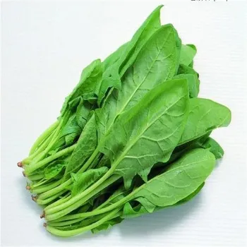 Spinach (47)-1976514-10364.webp